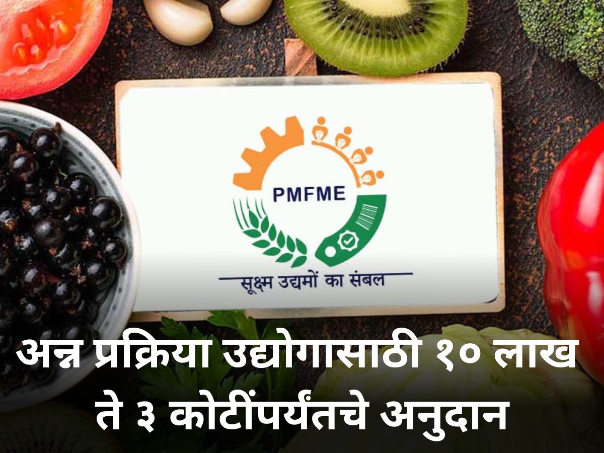 PMFME Scheme अन्न प्रक्रिया उद्योगासाठी मिळतेय १० लाख ते ३