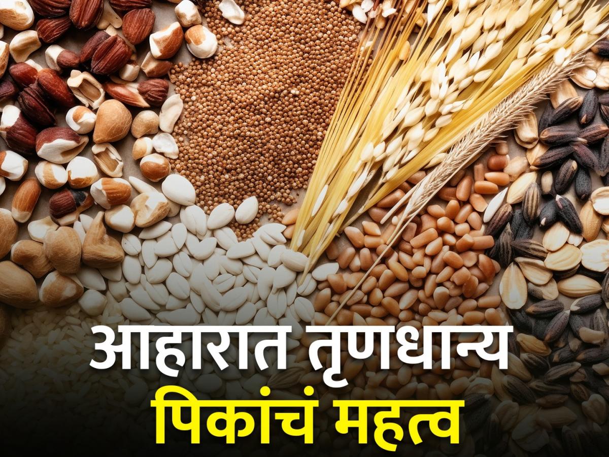 Vanraj Raghani ज्वारी, बाजरी, नाचणी, वरई, राळा, आहारात तृणधान्य पिकांचं महत्व ...
