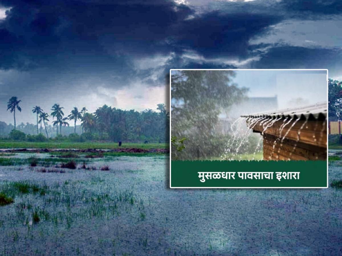 २५ सप्टेंबरपर्यंत यलो अलर्ट; ‘या’ जिल्ह्यांत पडणार मुसळधार पाऊस, जाता ...