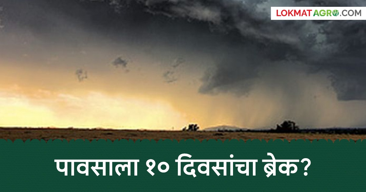 latest news Monsoon Rain Update : monsoon covers entire india ...