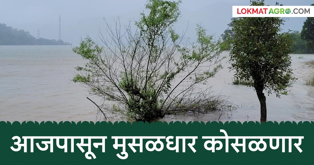 Photo: Lokmat.com Conséquences sur l’agriculture et les villes