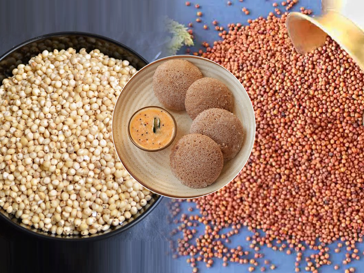 Johar Ragi कार्ब नको? मग करा ज्वारी-नागली इडली, पचायला हलकी-करायला अगदी सोपी मिलेट ...