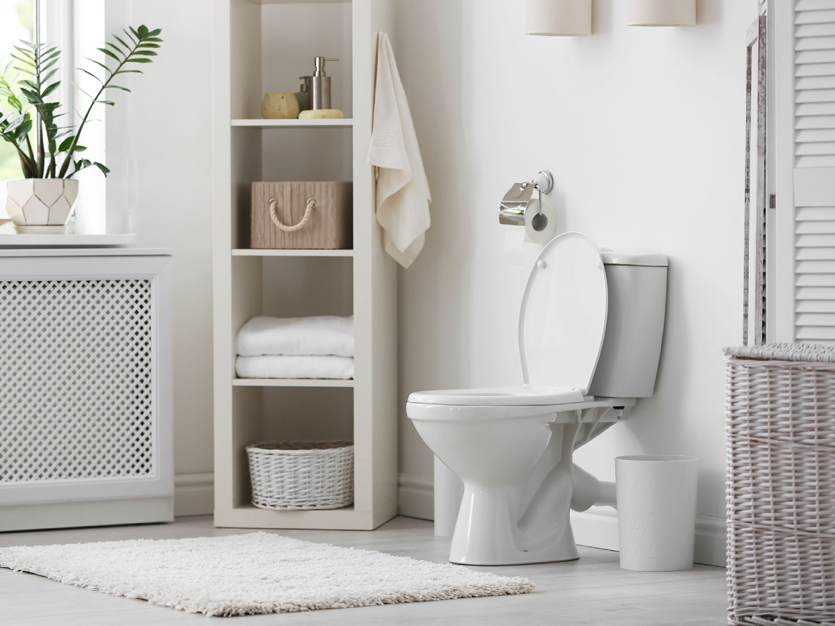 Vastu Shastra तुमच्या बाथरूममध्ये 'या' गोष्टींचा अभाव असेल तर वास्तुदोष निर्माण होणार म्हणजे