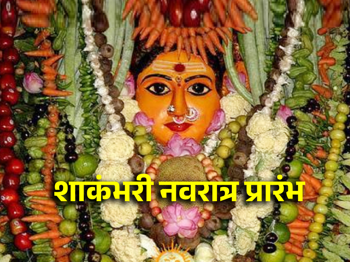 Shakambhari Navratri 2024 शाकंभरी नवरात्र सुरू होतेय, वाचा व्रतविधी