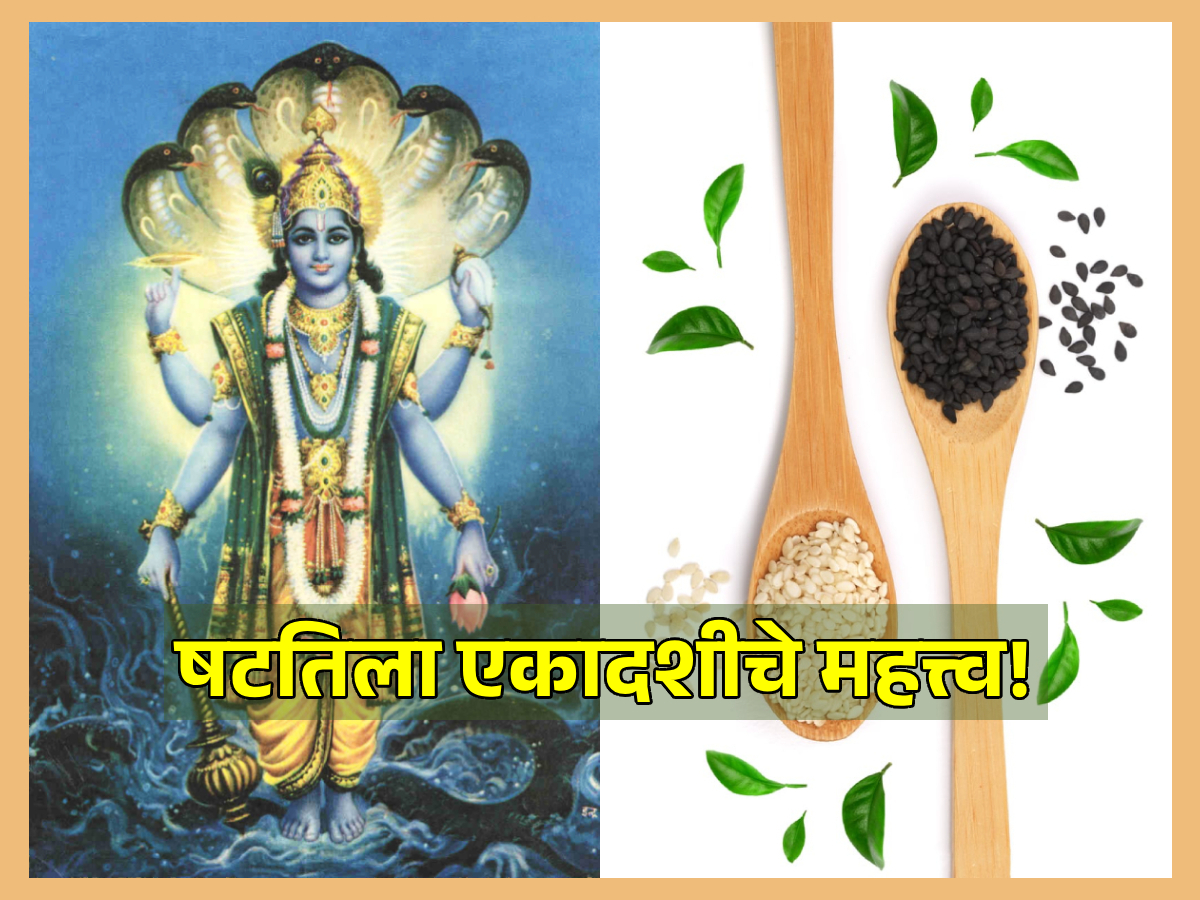 Shattila Ekadashi 2024 पद्म पुराणात दिल्यानुसार असे करा षटतिला एकादशीचे व्रत वाचा व्रतविधी