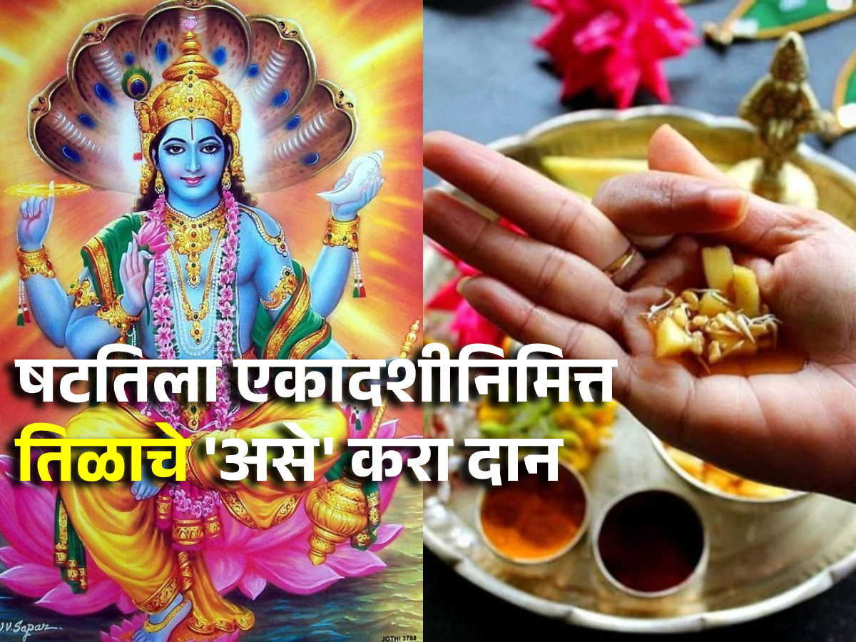 Shattila Ekadashi 2024 आज षटतिला एकादशीनिमित्त 'या' सहा प्रकारे करा