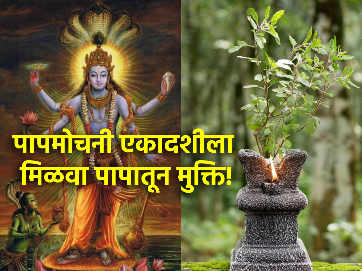 Papmochani Ekadashi 2024 यंदाच्या हिंदू वर्षातील शेवटची एकादशी; अशी