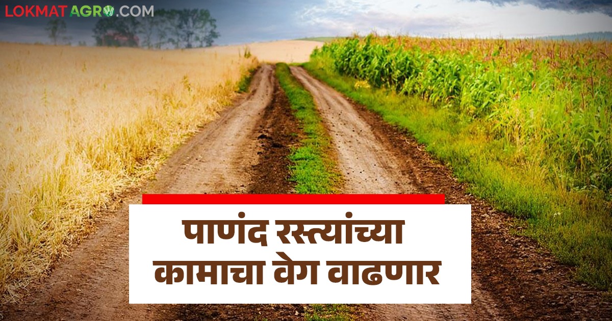 Panand Raste राज्यात शेत व पाणंद रस्त्यांच्या कामांना आता प्रथम प्राधान्य; रोजगार ...