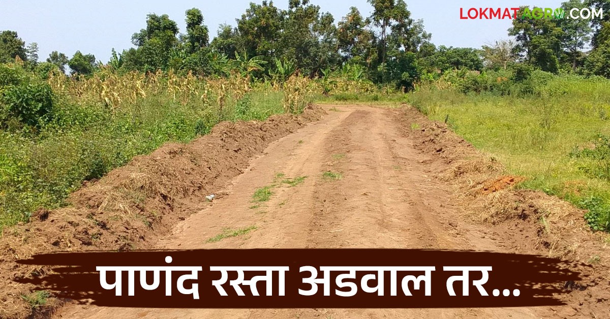 Panand Raste पाणंद रस्त्यावर झालेले अतिक्रमण काढण्यासाठी शासन घेतंय 'हा' महत्वपूर्ण ...