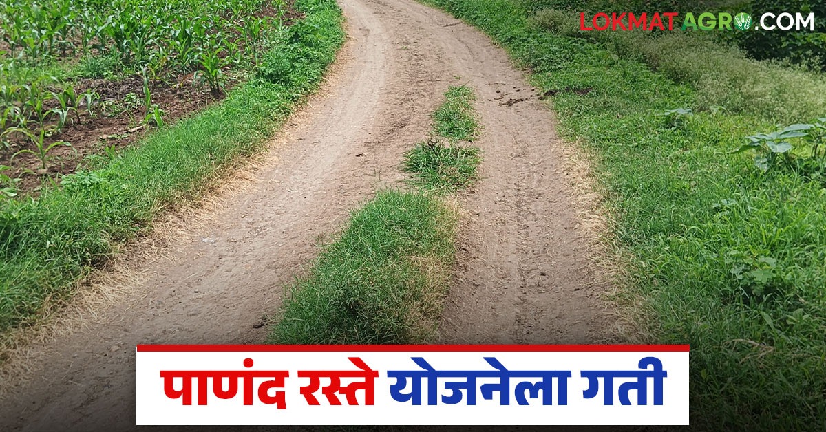 Panand Raste राज्यातील 'या' जिल्ह्यात २ हजार २६८ शेतरस्ते होणार मोकळे व मजबूत ...