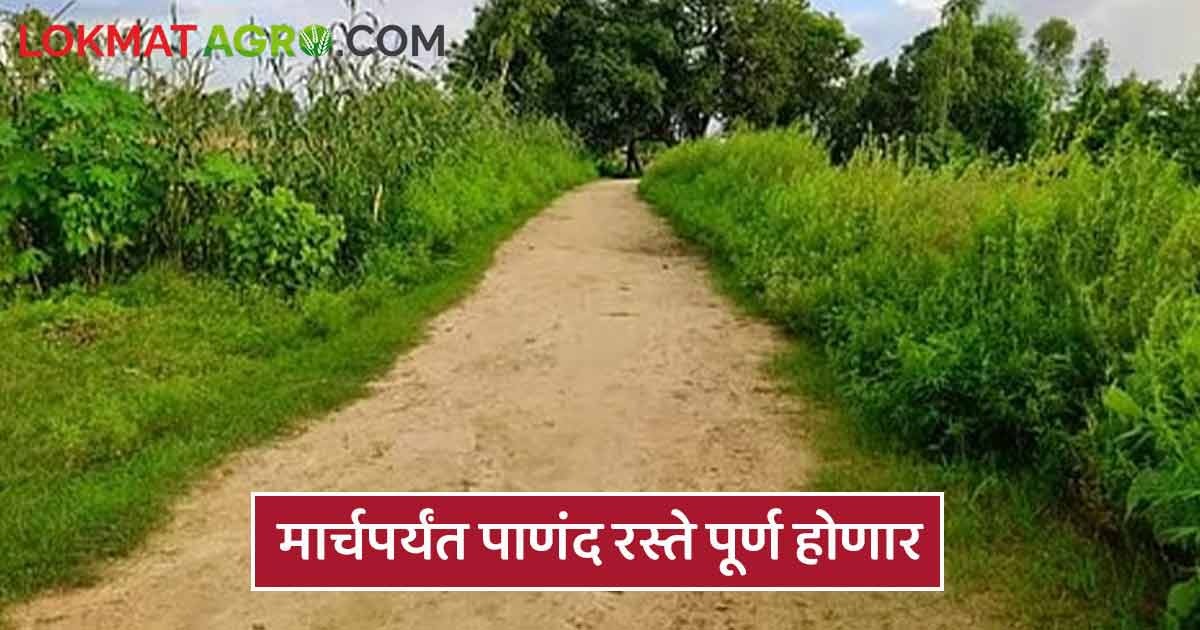 Panand Raste मार्चअखेर 45 हजार किलोमीटरचे लांबीचे पाणंद रस्ते होणार, आठ दिवसांत ...