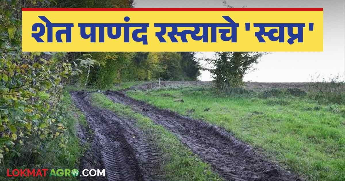 Panand Raste Matoshri Panand Rasta Yojana read in details