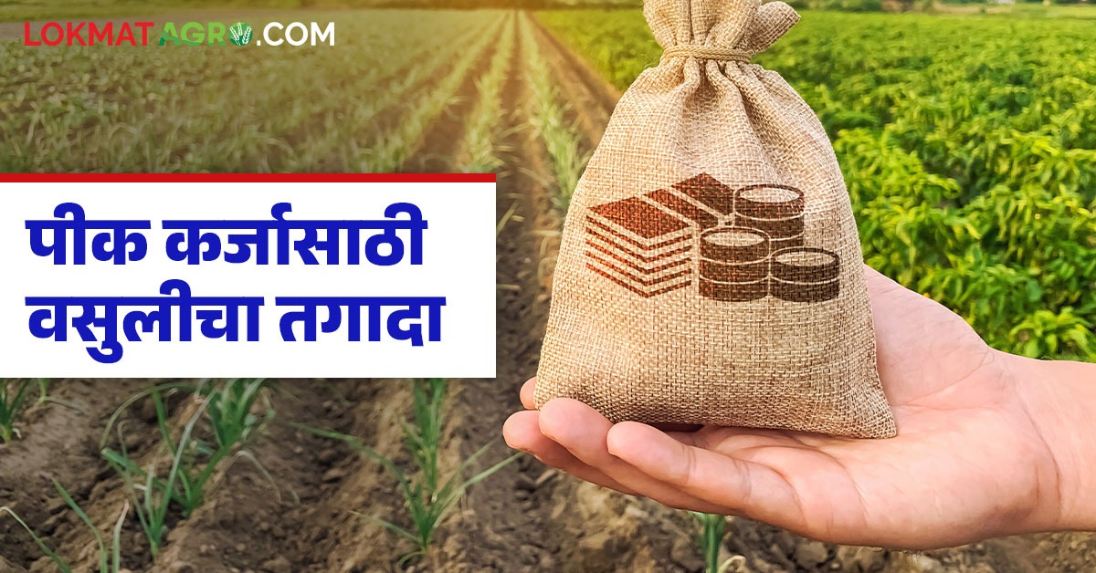 Vasuli Card.pdf latest news Pik Karj Vasuli: Loan waiver announcement on one hand ...