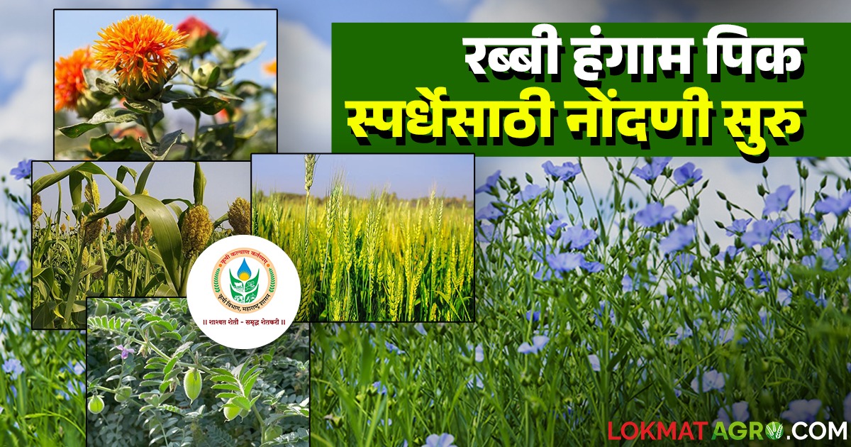 रब्बी हंगामातील 'या' पाच पिकांसाठी होणार पिकस्‍पर्धा; कसे व्हाल सहभागी ...