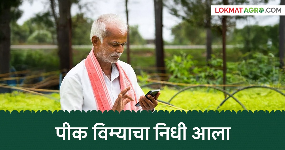 Pik Vima Anudan : पीक विम्याची रक्कम मिळणार! राज्य सरकारकडून 190 कोटी ...