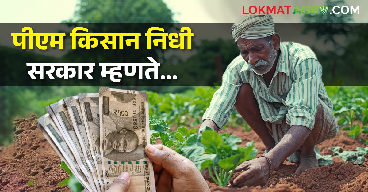 पीएम किसान योजना शेतकऱ्यांना १२ हजार नव्हे तर किती रुपये मिळणार Pm Kisan Yojana Farmers Will 4875