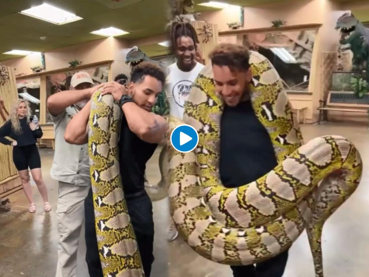 अजगरासोबत मस्ती करायला गेला अन् खेळ अंगाशी आला, पुढे जे घडलं ते होतं ...