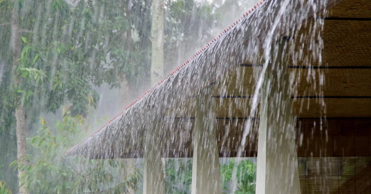 Rain Update : पावसाचा जोर कायम, कोकणात ऑरेंज, तर घाटमाथ्याला ‘रेड अलर्ट ...