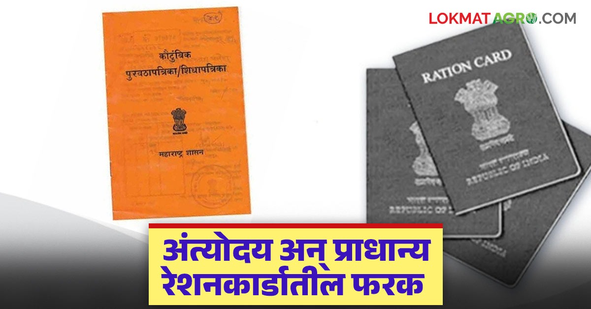 तुमच्याकडे कुठल्या रंगाचे रेशनकार्ड, कुठल्या कार्डवर सर्वाधिक रेशन ...