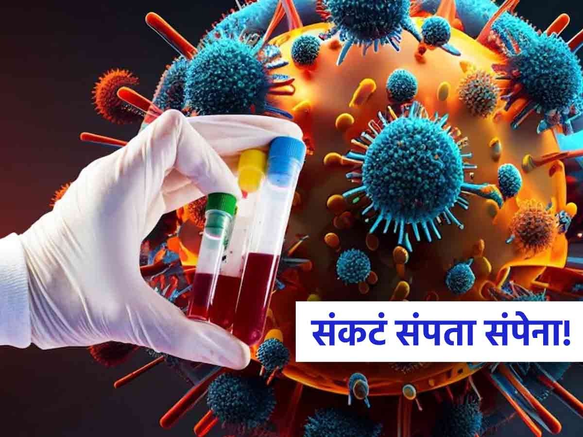 शमोंडा व्हायरस म्हणजे काय? माणसांसाठी धोक्याची घंटा; WHO ने दिली ...