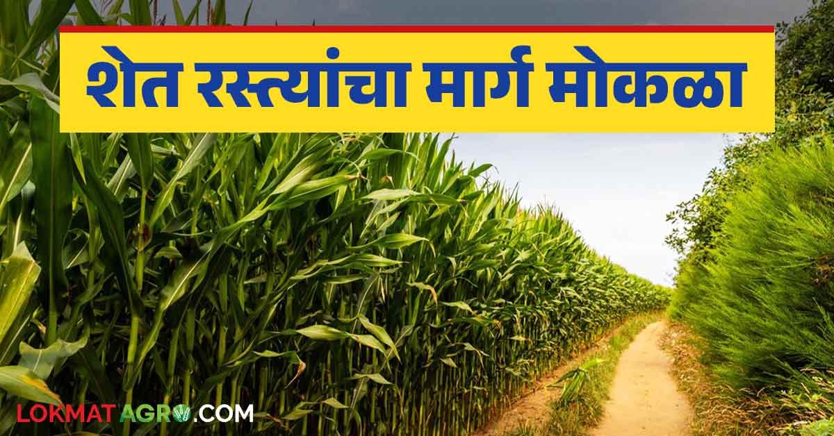 Sheti Rasta Shet Rasta : शेत वहीवाटीमध्ये रस्ता करण्याबाबत लवकरच नवीन मार्गदर्शक ...