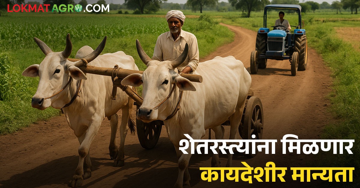 Panand Raste ग्रामीण शेतरस्ते, पाणंद रस्ते, शिव रस्त्यांचे होणार डिजिटल अभिलेख ...