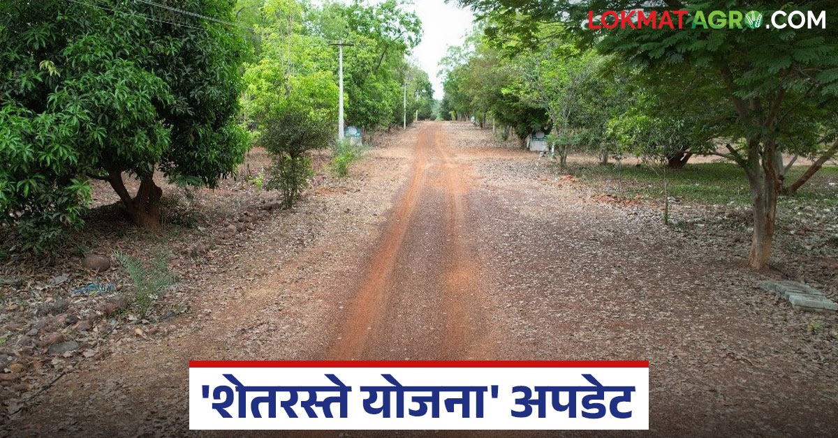 Panand Raste राज्यात बळीराजा शेत पाणंद रस्ते योजनेस गती येणार; आता मजबूत रस्ते तयार ...