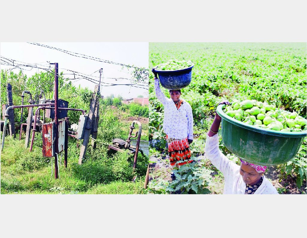 धक्कादायक... नाग नदीच्या विषयुक्त पाण्यावर पिकतो भाजीपाला; मार्केटमधून