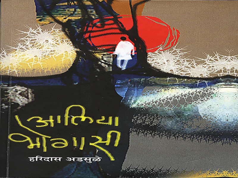  Marathi News Aliya Bhogasi 