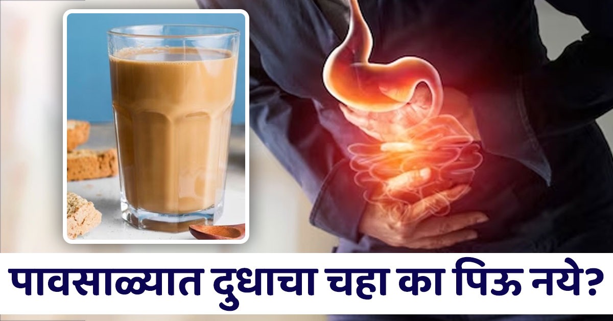 पावसाळ्यात दुधाचा चहा प्यायल्याने काय होतात नुकसान? वाचाल तर फायद्यात