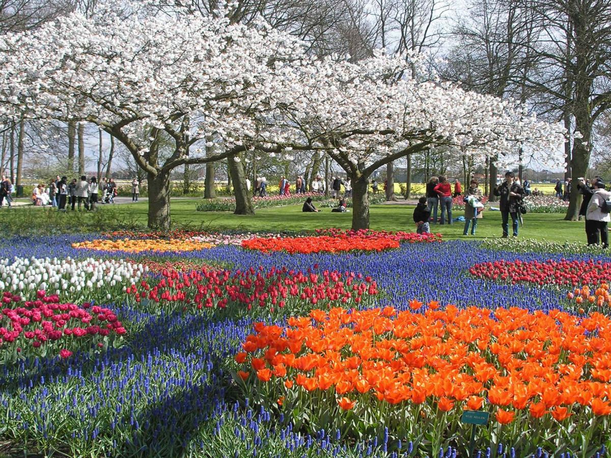 Spring Seasonमध्ये फिरण्यासाठी बेस्ट आहेत 'हे' 5 विदेशी डेस्टिनेशन्स ...