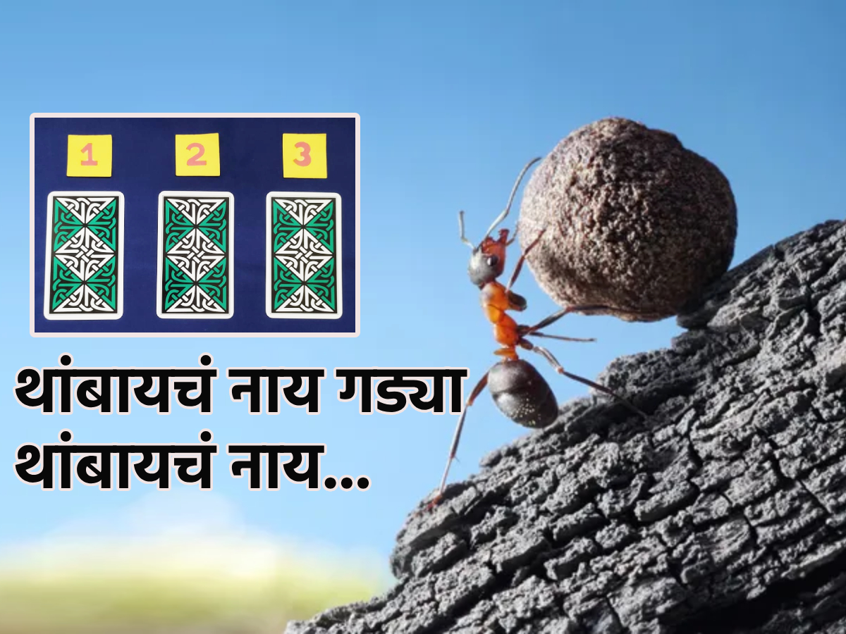 Tarot Card आठवडा संमिश्र स्वरूपाचा, पण प्रयत्न सोडू नका; पहा टॅरो