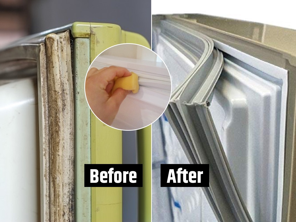 Cleaning Tips फ्रिजच्या दाराचं मळकट रबर फक्त २ मिनिटांत दिसेल स्वच्छ