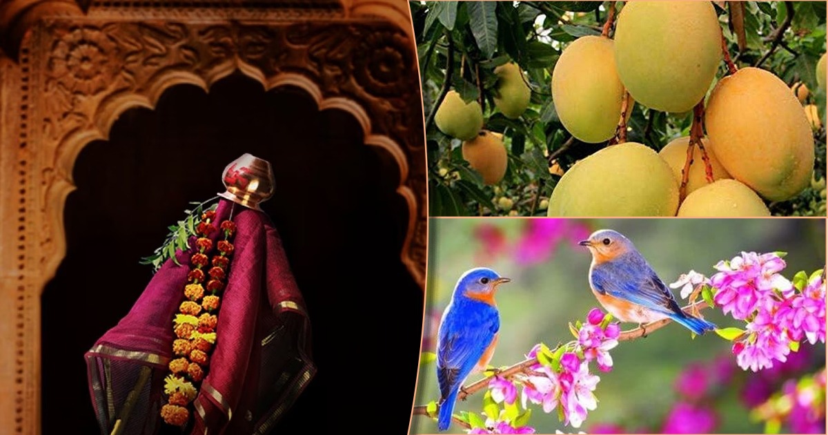 Chaitra Gudi Padwa 2023: वसंताच्या आगमनाची चैत्र चाहूल: नववर्षाची नवलाई ...