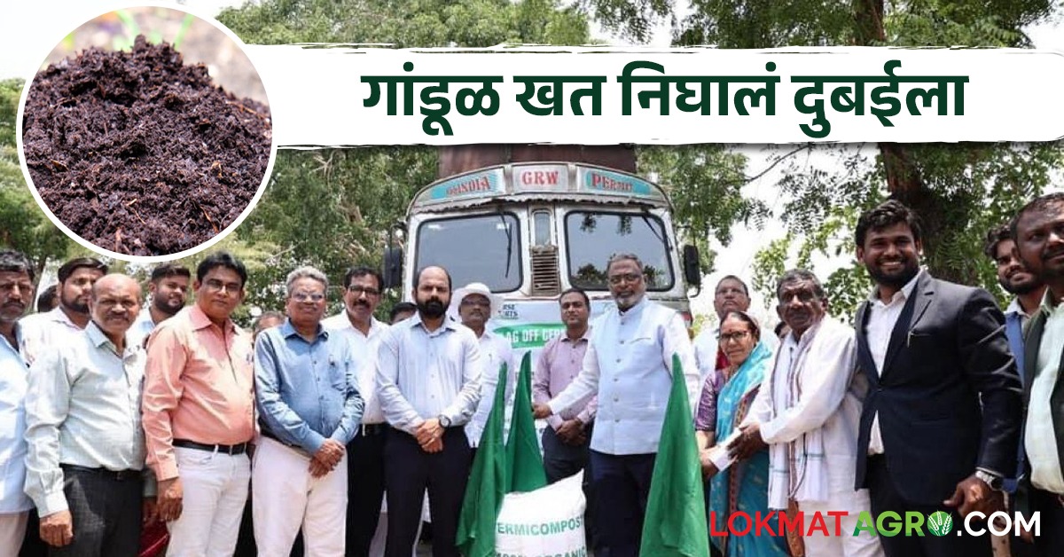 Export अकोल्यातून प्रथमच गांडूळखताचा एक कंटेनर दुबईला