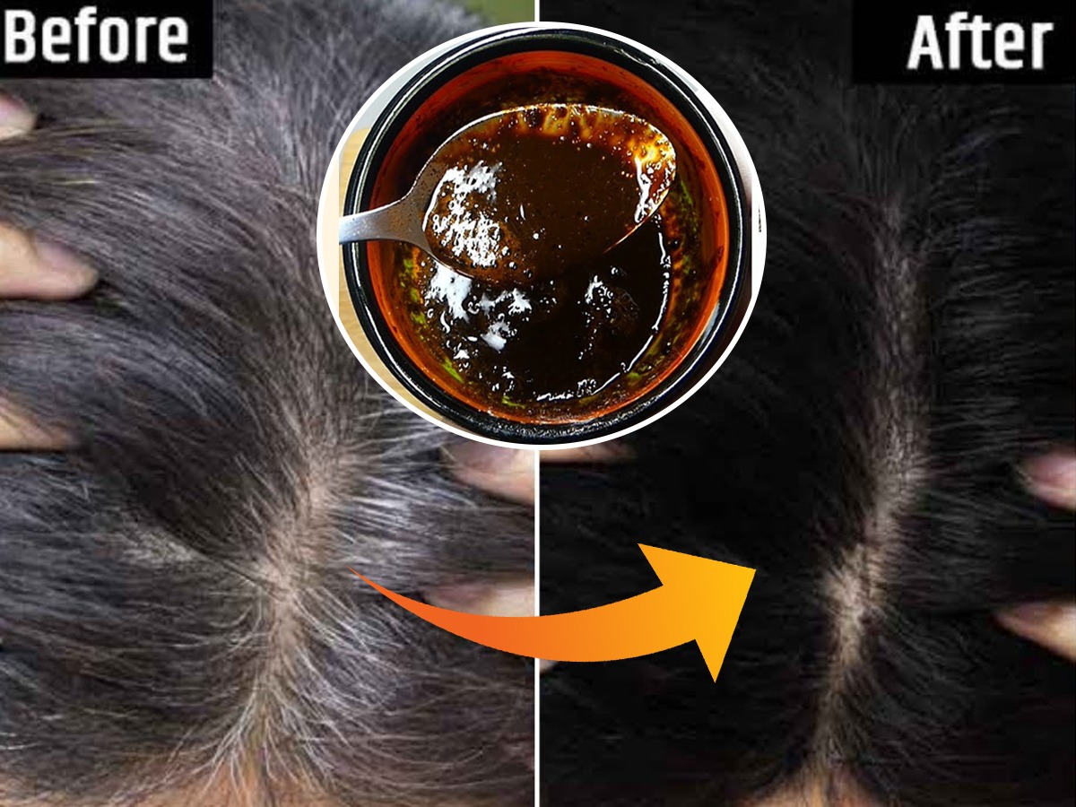 How Stop Gray Hairs Naturally : पांढरे केस कमीच होत नाहीयेत? ३ घरगुती उपाय, म्हातारे होईपर्यंत केस राहतील काळेभोर - Marathi News | How Stop Gray Hairs Naturally : Tips to get How Stop Gray Hairs Naturally : पांढरे केस कमीच होत नाहीयेत? ३ घरगुती उपाय, म्हातारे होईपर्यंत केस राहतील काळेभोर - Marathi News | How Stop Gray Hairs Naturally : Tips to get