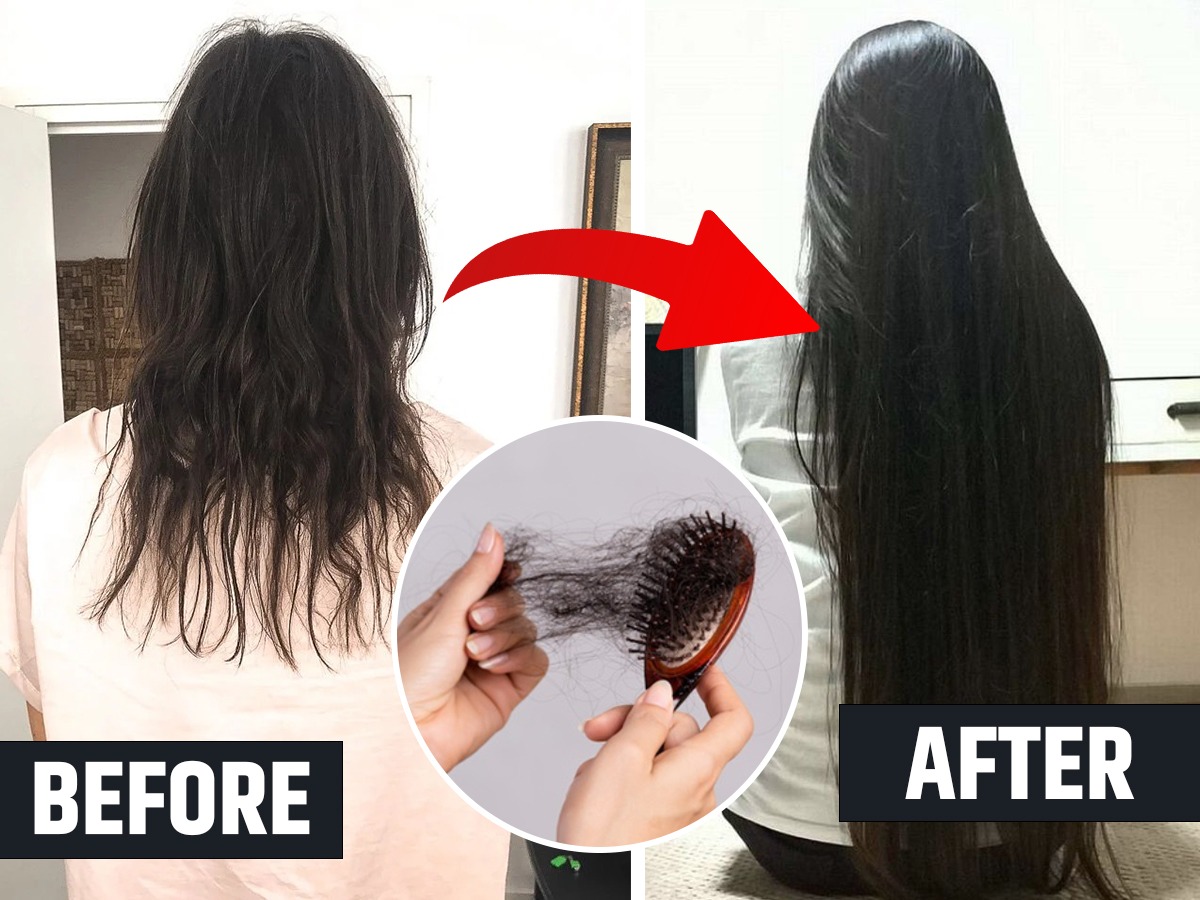 केसांचं गळणं थांबतच नाही? लांबसडक, काळ्या केसांसाठी ९ उपाय, केस राहतील  मुळांपासून मजबूत - Marathi News | 9 tips For Long and thick Hair know how  to prevent hair loss | Latest