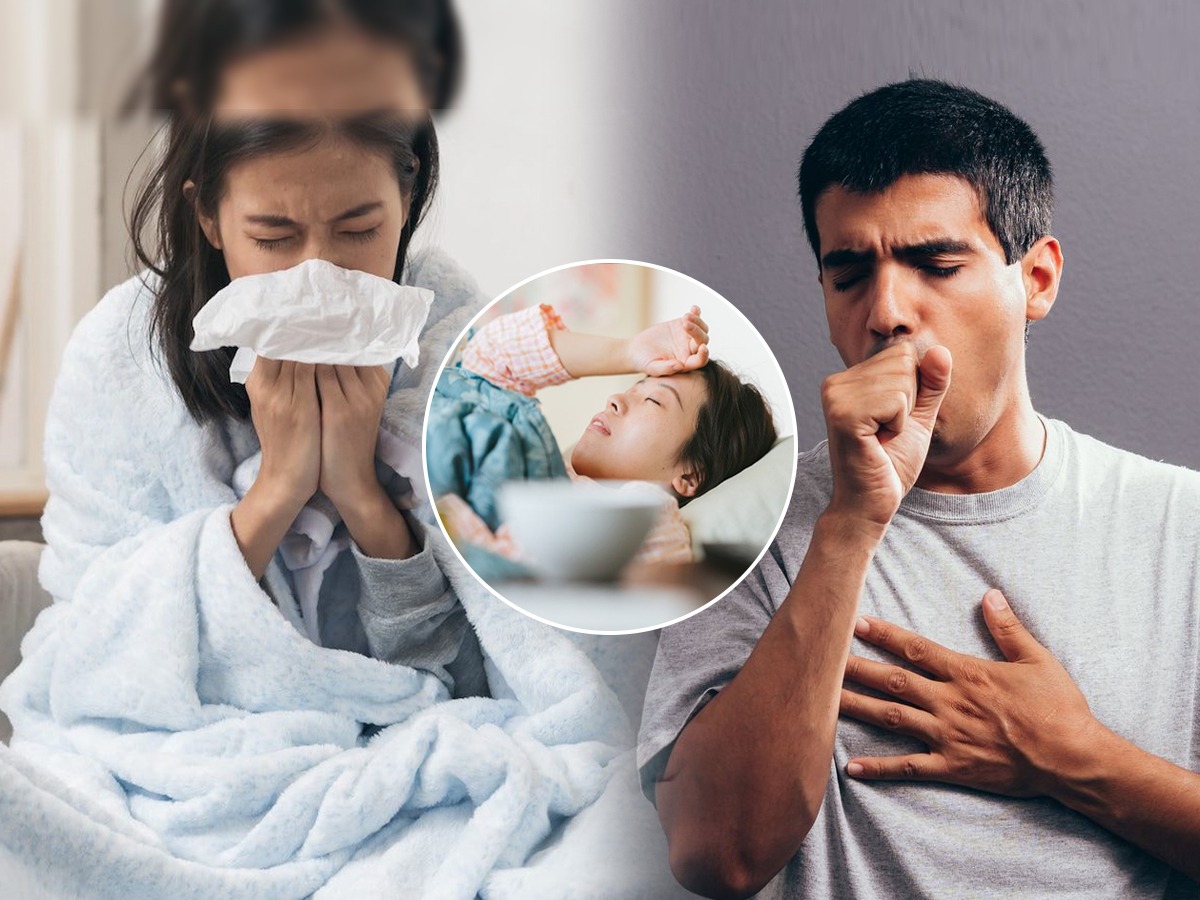 Cough & Runny Nose Home Remedy सतत नाक गळतंय, खोकल्यानं हैराण झालात
