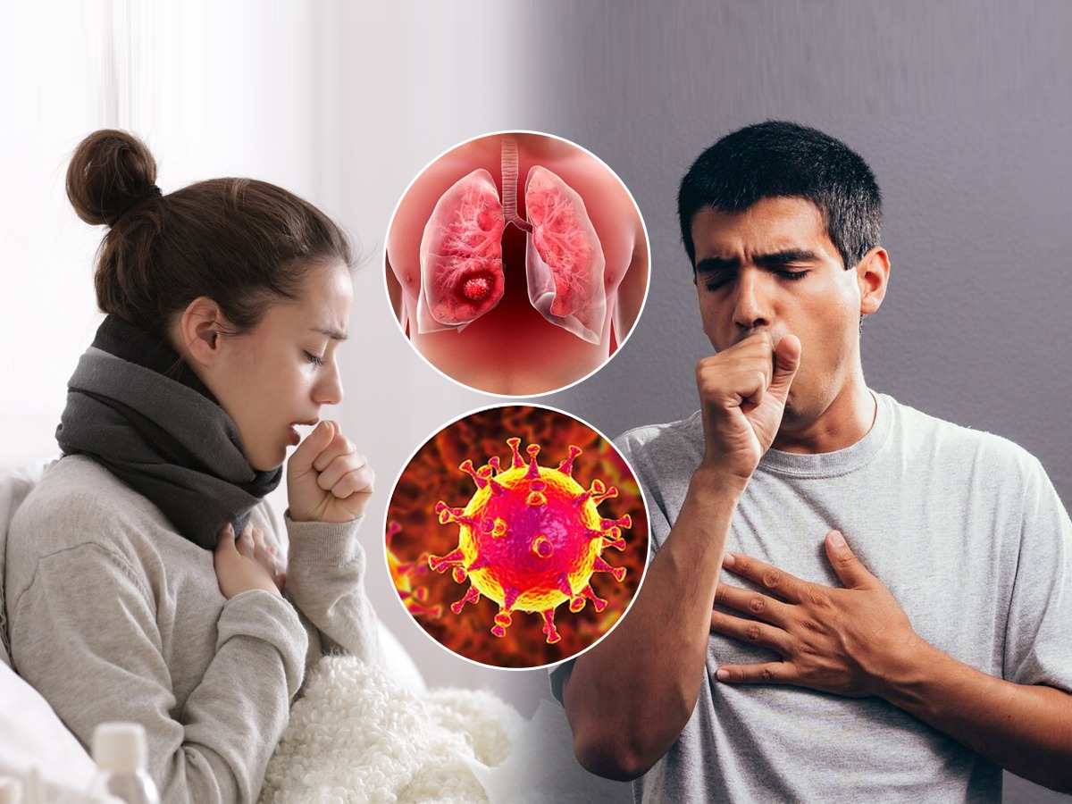 छातीत साचलेला कफ कमी करणारे ६ पदार्थ खोकलाकफाचा त्रास होईल कमी