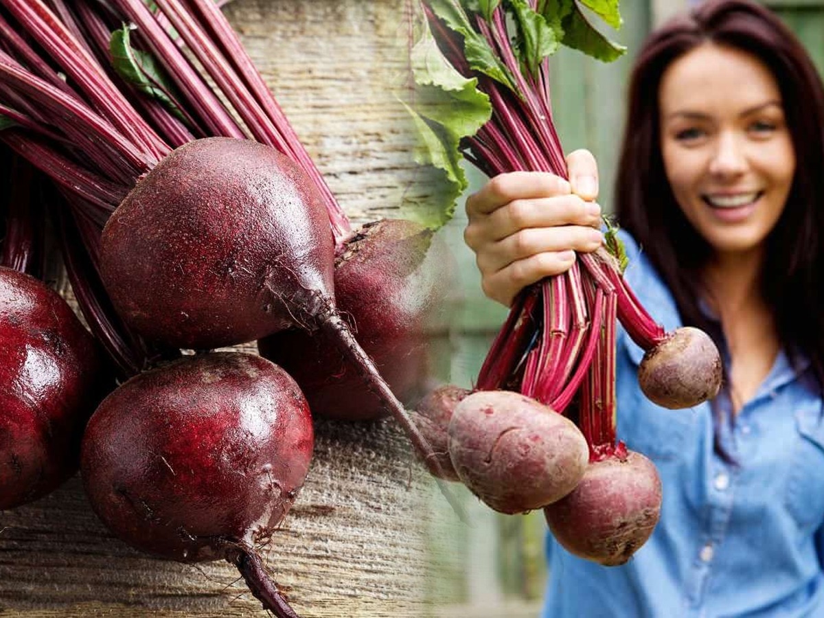 नवरात्र स्पेशल फूड लालचुटूक बीट खाण्याचे ५ फायदे, वजन आणि बीपीचं