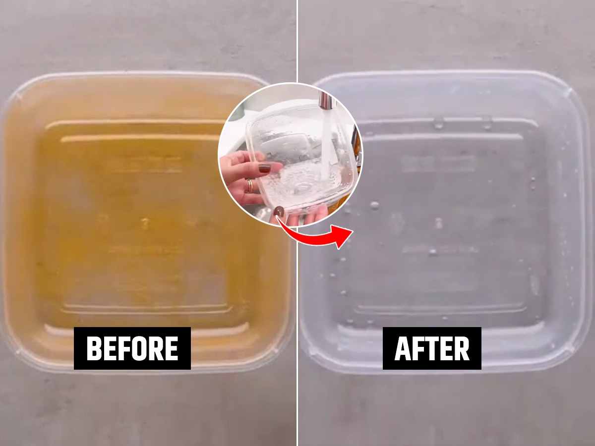 शाळा ऑफिसला नेण्याच्या डब्यांचे तेलकट डाग निघत नाहीत? १ झटपट सोपा