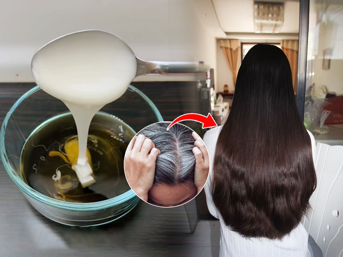 पांढरे केस वाढले, डायची भीती वाटते? घरी बनवलेला हा शॅम्पू वापरा