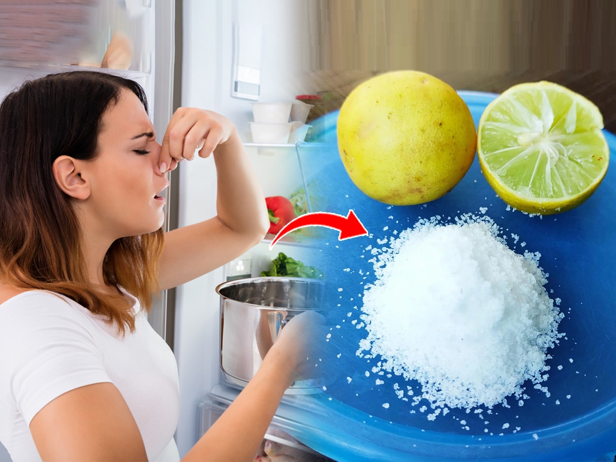 फ्रिजमधून दुर्गंधी येते? ६ उपाय फ्रीज होईल स्वच्छ आणि दुर्गंधीही गायब