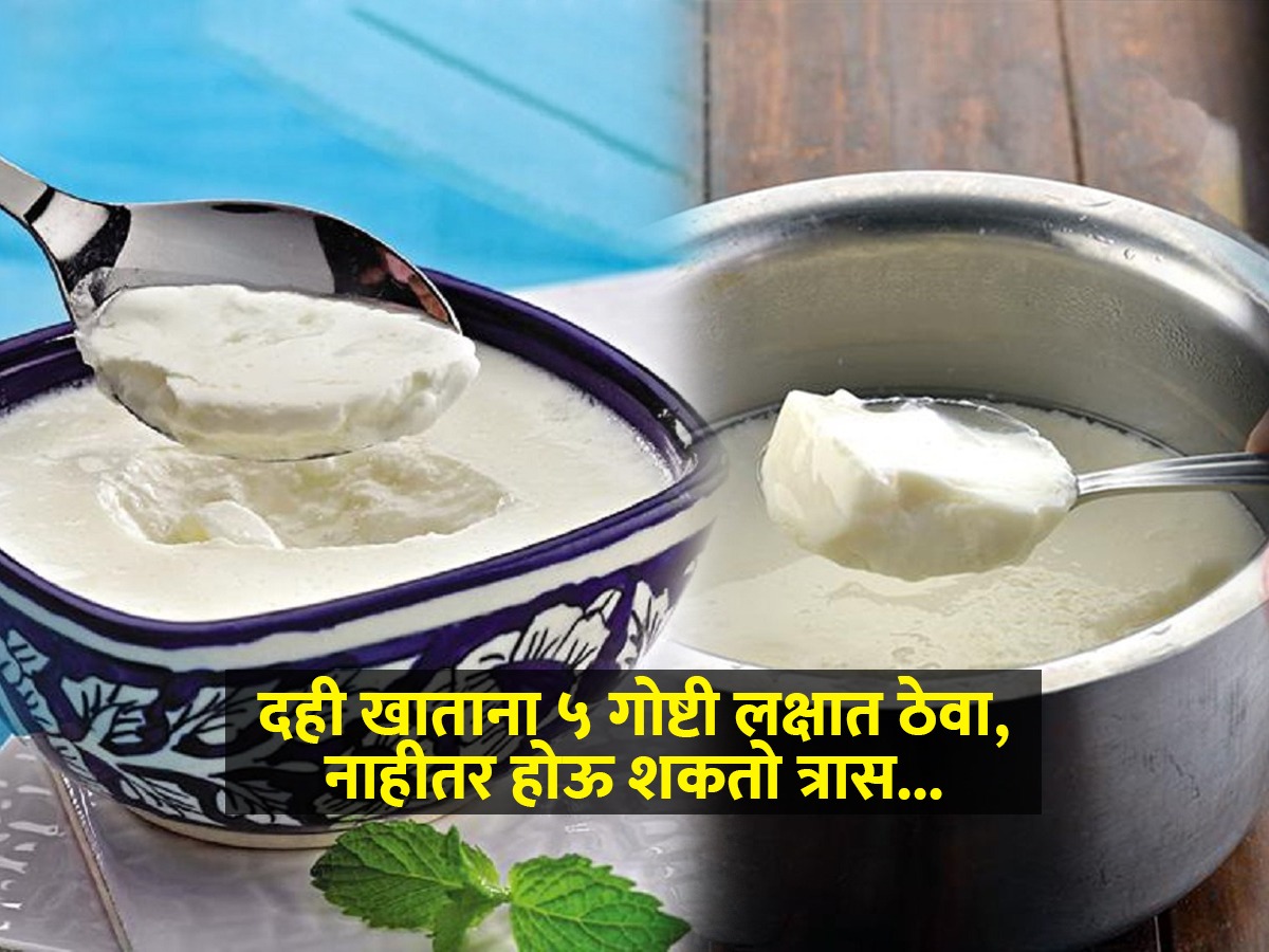 दुपारी जेवताना दही खाता? ५ चुका करु नका, पचनासह आतड्यांवर होणारे