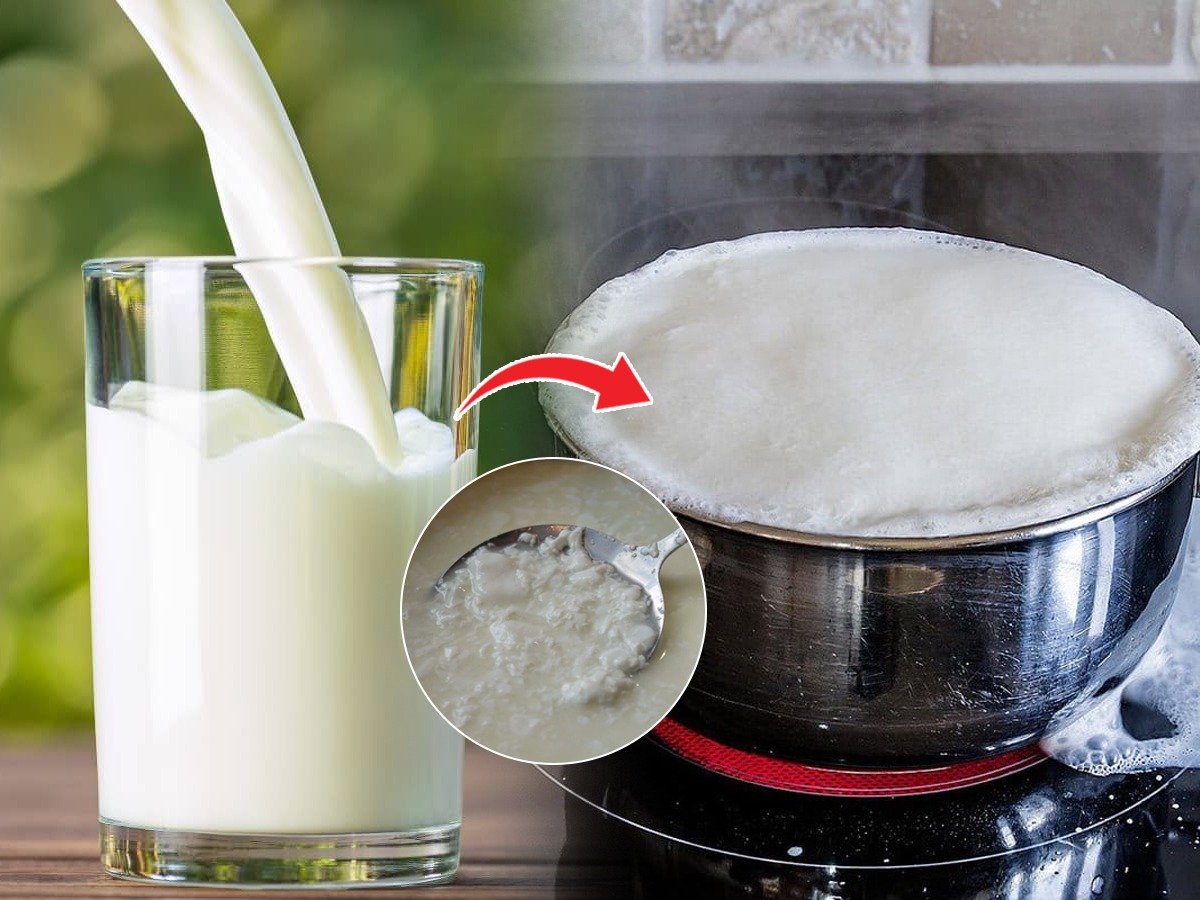 उन्हाळ्यात दूध नासू नये म्हणून ३ टिप्स, ऐनवेळी दूध नासण्याची भीतीच