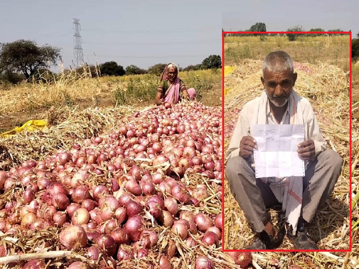 साडेतीन टन कांदा विकून हाती भोपळा, शेतकऱ्यालाच १८०० रुपयांची करावी