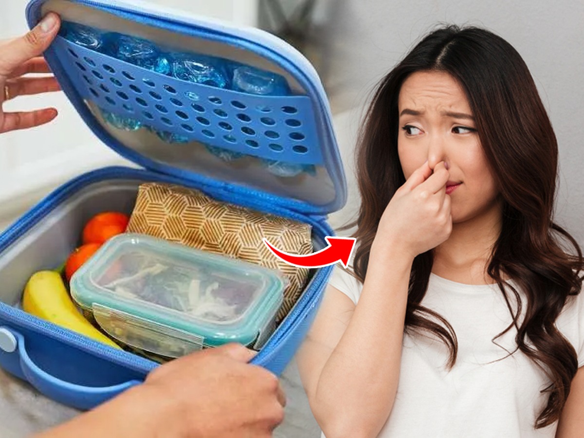 ऑफिस किंवा शाळेतून आल्यावर घासले तरी डब्यांना दुर्गंधी येते? ५ सोपे