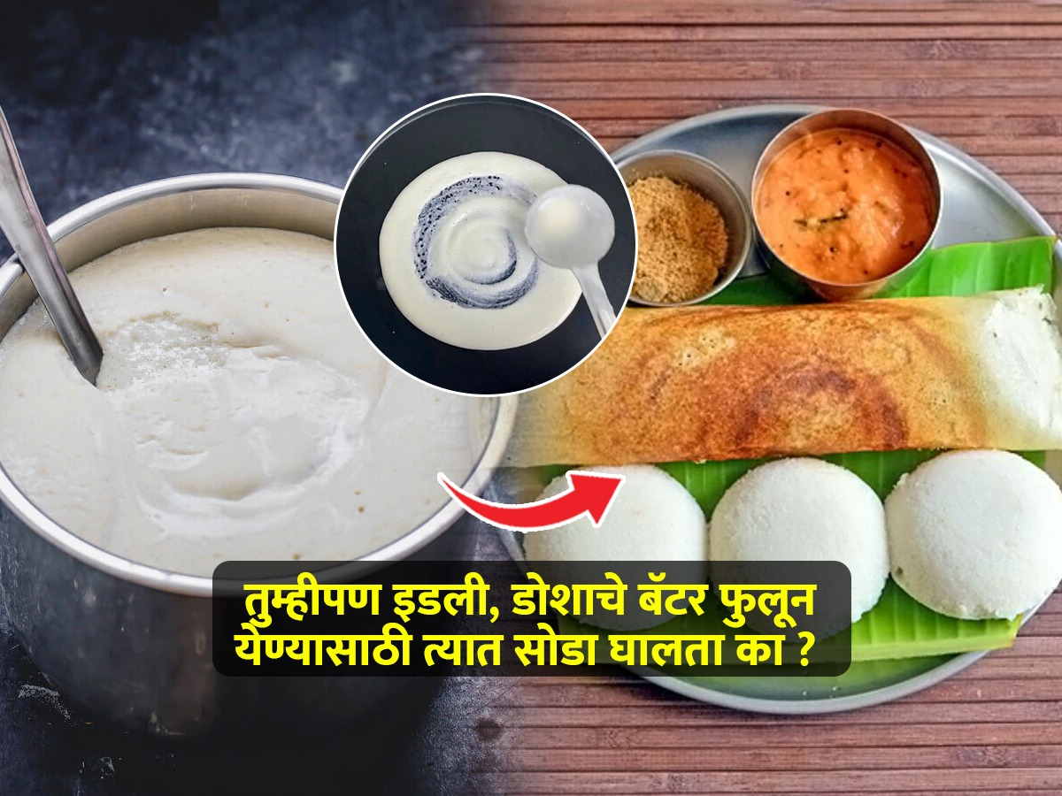 इडली डोशाचे पीठ छान आंबावे म्हणून त्यात सोडा घालता? तज्ज्ञ सांगतात, ते तातडीने बंद करा कारण