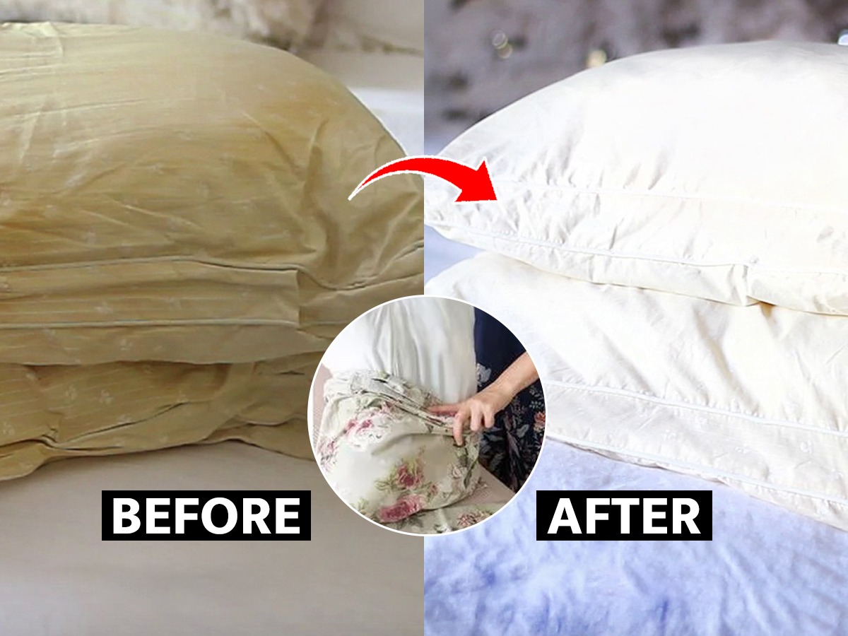 कळकटतेलकट झालेल्या उशा धुवायच्या आहेत? १ उपायउशा दिसतील नव्यासारख्या