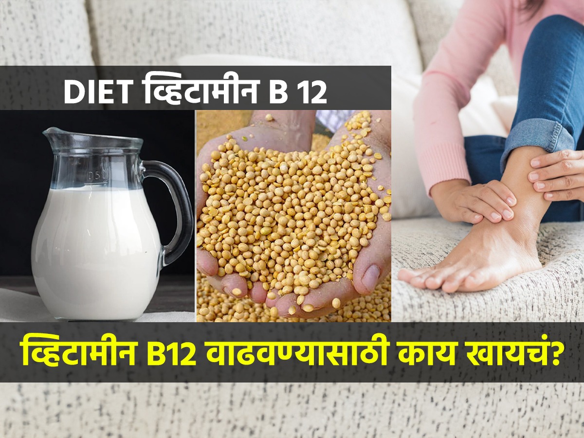 व्हिटामिन B12 कमी आहे? न चुकता खा ७ पदार्थ; थकवाही कमी होईल आणि